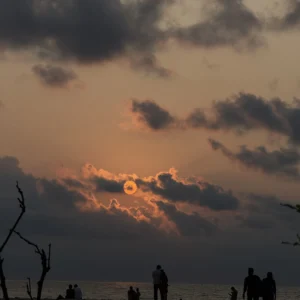 night sky image of  beach a must visit place in Kozhikode